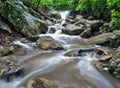 Maryland forest waterfall