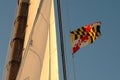 Maryland state flag flying high Royalty Free Stock Photo