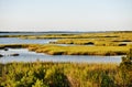 Maryland state usa assateague island national park Royalty Free Stock Photo