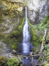 Marymere Falls, Olympic National Park, Washington State, United States Royalty Free Stock Photo