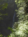 Marymere Falls, Olympic National Park, Washington State, United States Royalty Free Stock Photo