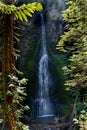 Marymere Falls waterfall in Olympic National Park, framed by trees in the sunshine, in the Lake Crescent area