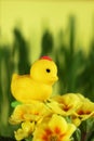 Marzipan chicken, Easter decoration