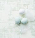 Marzipan Easter eggs with feathers Royalty Free Stock Photo