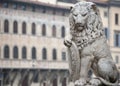 The Marzocco is the heraldic lion that is a symbol of Florence