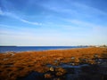 Fleuve Saint Laurent River Royalty Free Stock Photo