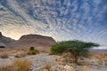 Masada Royalty Free Stock Photo