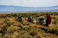 Masai guide hike in the mountains