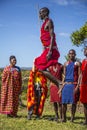 MASAI MARA, KENYA - Aug 15, 2018: A Masai local jumping