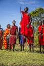 MASAI MARA, KENYA - Aug 15, 2018: A Masai local jumping