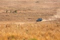 Tourist enjoying game drive on safari Jeep at Masai Mara , Kenya Royalty Free Stock Photo