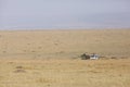 Safari jeep for Game drive at Masai Mara Royalty Free Stock Photo