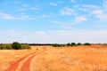 Masai Mara landscape Royalty Free Stock Photo