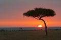 Masai Mara sunrise Kenya Royalty Free Stock Photo