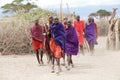 Masai men Royalty Free Stock Photo