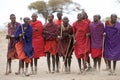 Masai men Royalty Free Stock Photo