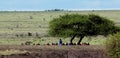 Masai men meeting Royalty Free Stock Photo