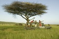 Masai scouts and tourist look for animals from a Landcruiser during a game drive at the Lewa Wildlife Conservancy in North Kenya,