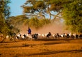 Masai shepherd