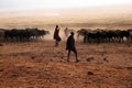 Masai shepherds