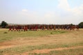 Masai walking - Kenya - Africa