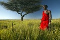 Masai Warrior in red standing near Acacia tree and surveying landscape of Lewa Conservancy, Kenya Africa