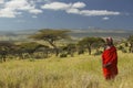 Masai Warrior in red surveying landscape of Lewa Conservancy, Kenya Africa