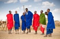 Masai warriors dancing traditional jumps as cultural ceremony. T Royalty Free Stock Photo