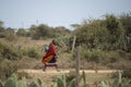 Masai Woman going to Market Place near Narok,Kenya