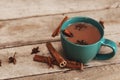 Masala chai with spices. Cinnamon Stick, Thai Cardamom, Ginger, Clove, Star Anise, Black Peppercorns, Fennel Seeds, Black Tea Royalty Free Stock Photo