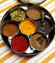 Masala Dabba - My Indian Spice Box Royalty Free Stock Photo