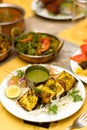 Masala paneer kabab with green chatni and salad.