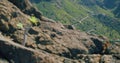 Masca Gorge or Barranco de Maska from the peak of the mountain peak. Tenerife. Rocky mountains in the foreground Royalty Free Stock Photo