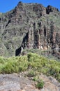 Masca Valley with greenery, Tenerife.