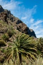 Masca valley in Tenerife Royalty Free Stock Photo