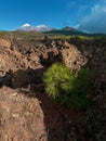 Masca valley, Tenerife, Spain