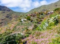 Masca village in Tenerife, Canary islands, Spain Royalty Free Stock Photo