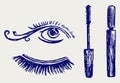 Mascara Royalty Free Stock Photo