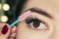 Beautiful woman eyes make-up. Mascara Applying. Long Lashes closeup. Mascara Brush. Eyelashes extensions. Makeup for black Eyes.