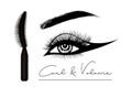 Mascara eyeliner and brush stroke vector, beauty and cosmetic background. Vector illustration