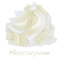 Mascarpone cheese vector