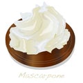 Mascarpone cheese vector