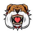 Mascot of angry bulldog head