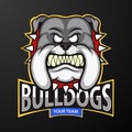 Mascot of angry bulldog head, logo for a sport team