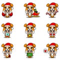 Mascot costume dog set christmas bundle
