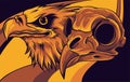 Head of an Eagle and skull vector illustration