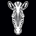 Vector head of mascot zebra head isolated on black Royalty Free Stock Photo