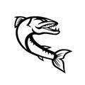 Great Barracuda Jumping Retro Mascot Black and White Royalty Free Stock Photo