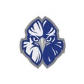 Mascot icon illustration of head of an American harpy eagle Harpia harpyja, eagle head animal mascot - logotype