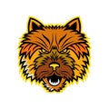 Norwich Terrier Mascot Front